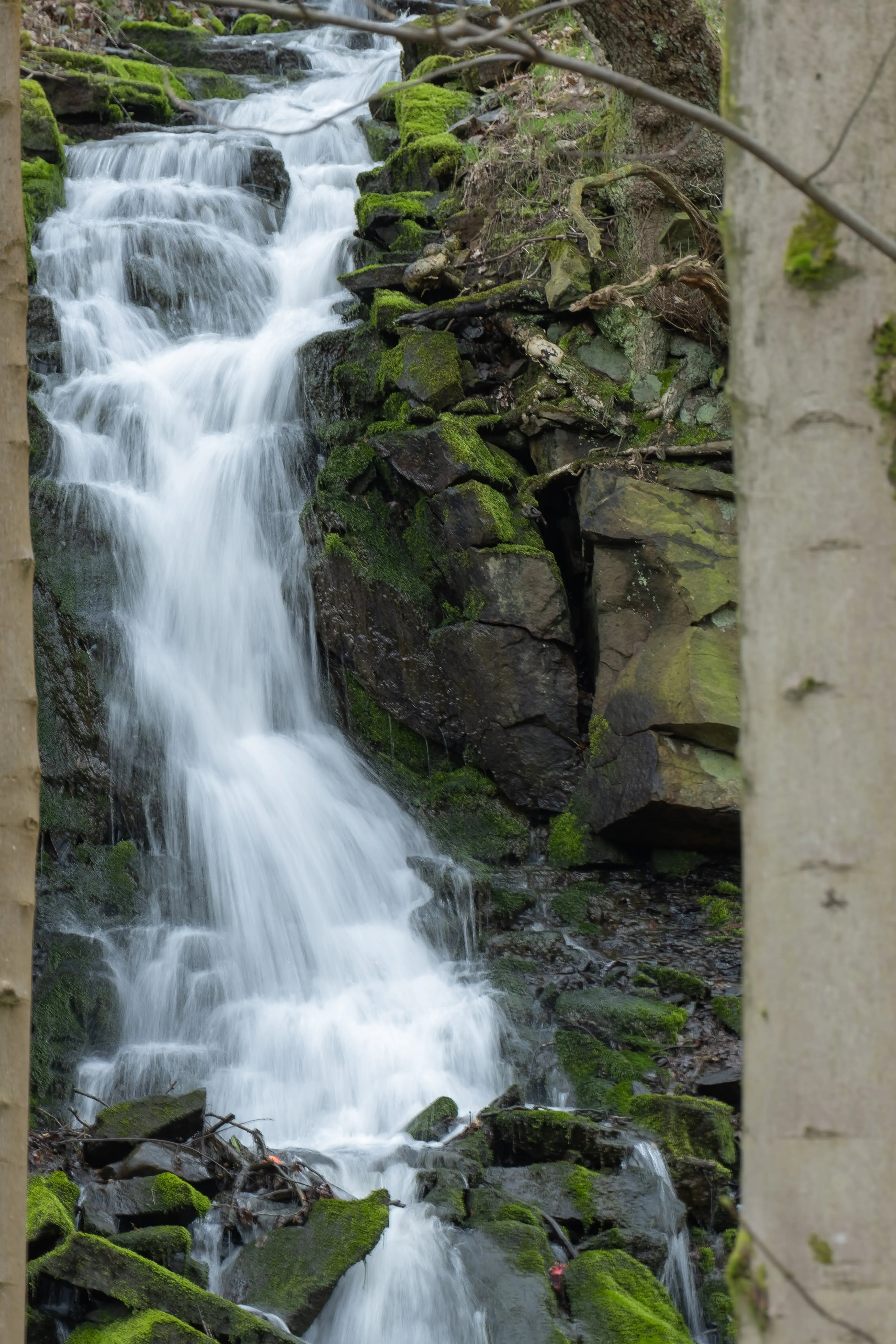 falls.webp