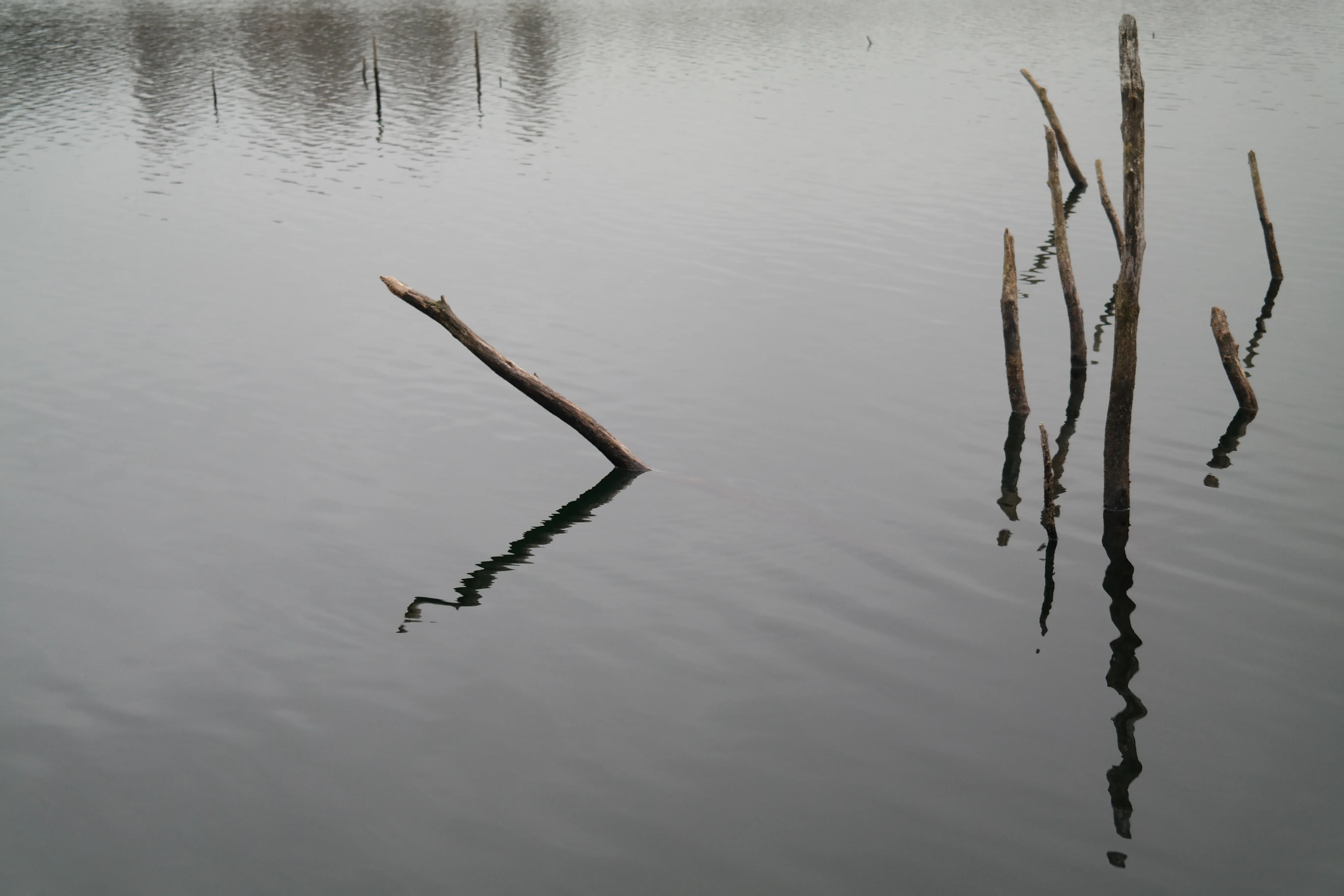 reflect.webp
