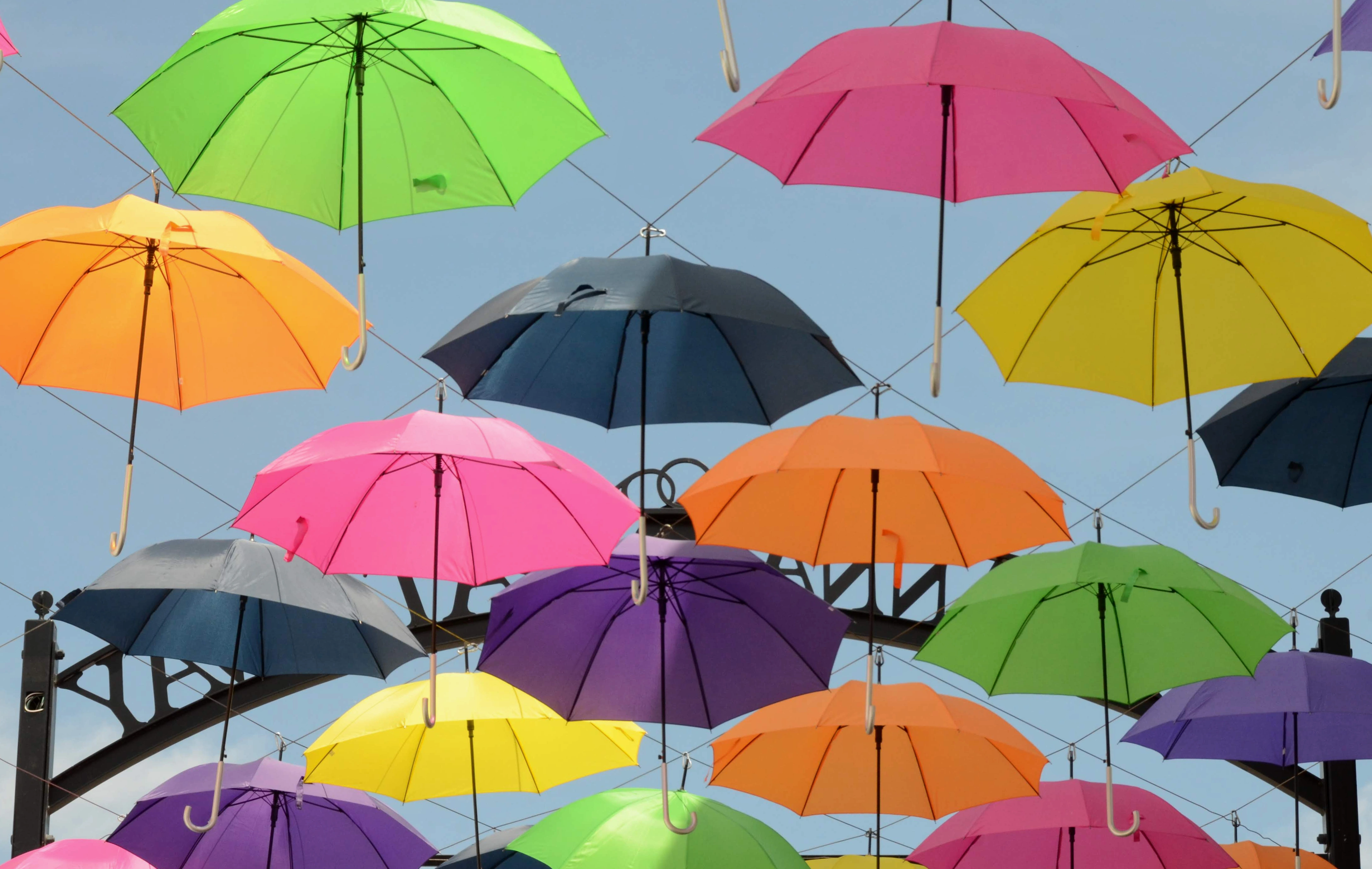 umbrellas.webp